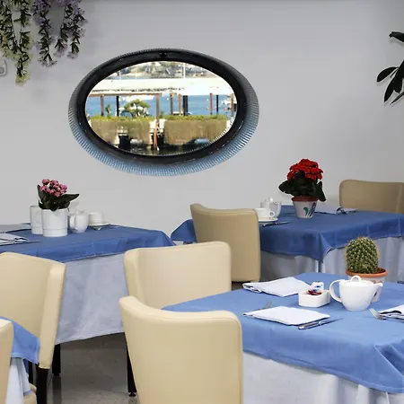 Hotel Carolina 4*